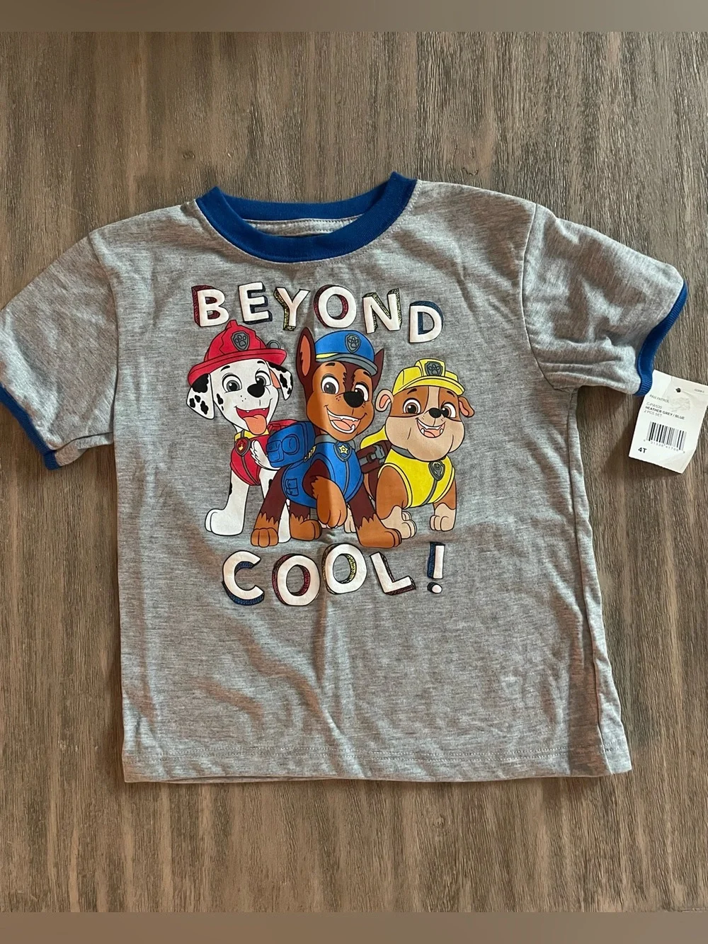 Paw Patrol Heather Grey Tee with Blue Trim